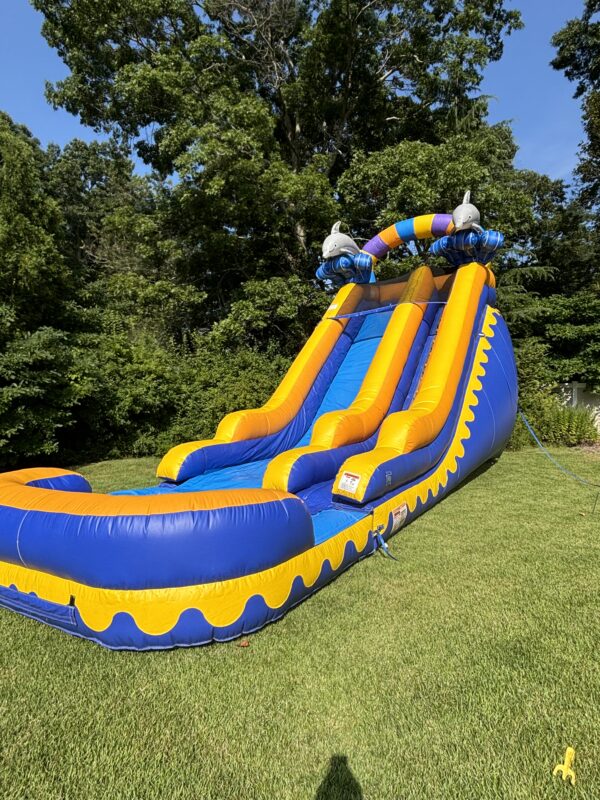 Dolphin Splash 18ft Water Slide